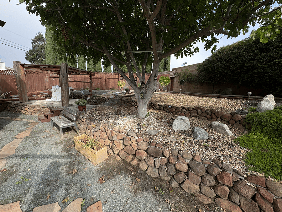 Side backyard