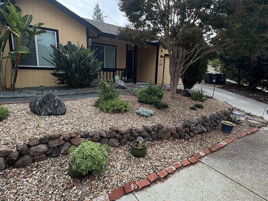 Front Rock Garden