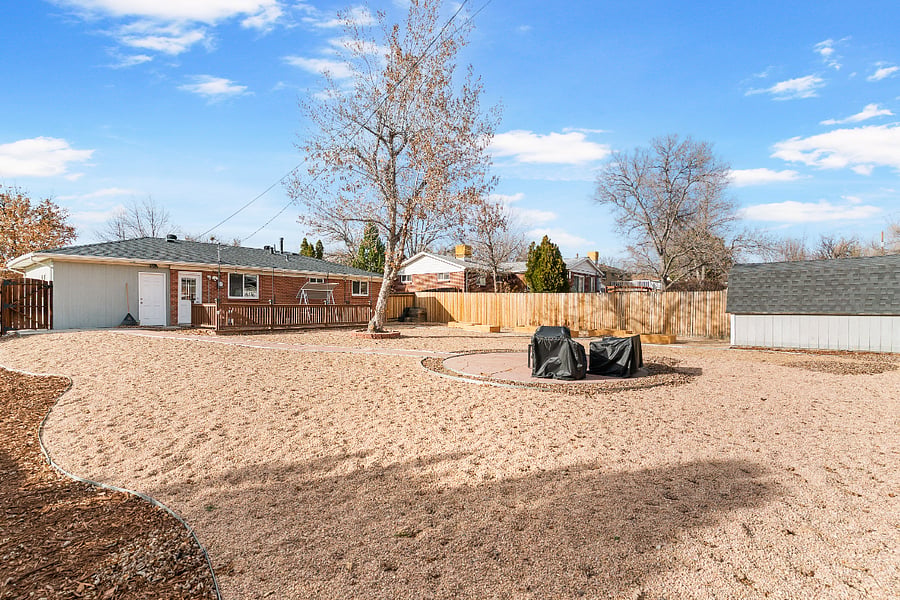 Backyard (winter months)