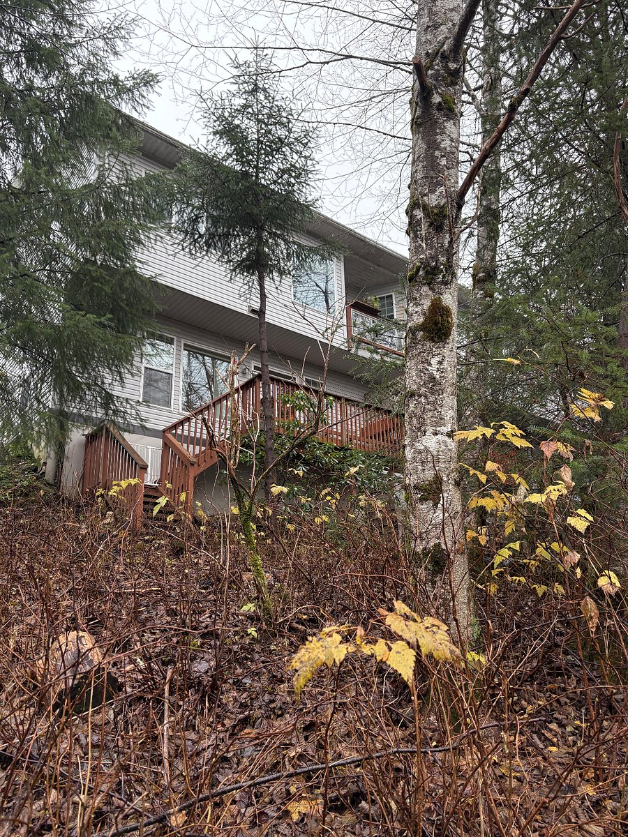 Backside of condo--Lemon Creek is behind me as I took the photo.
