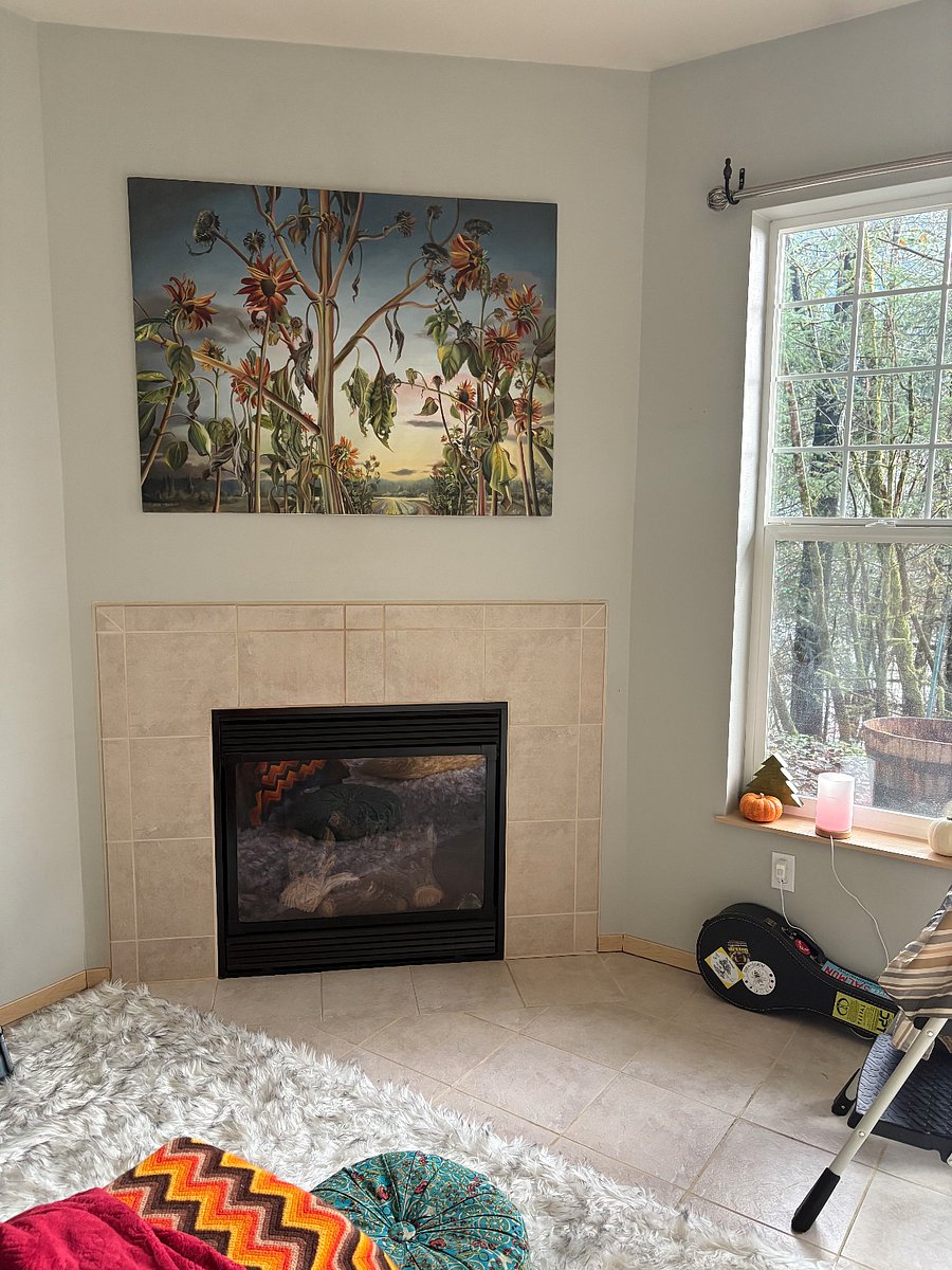 Gas fireplace is awesome on cold winter nights!