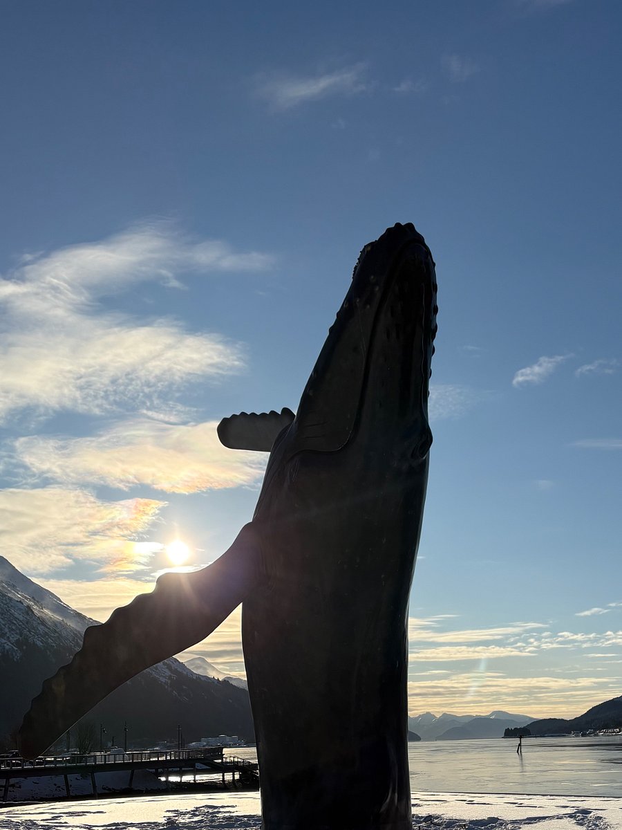 Taku the life size Humpback Whale you have to see at least once.  Located on the edge of downtown Juneau. 