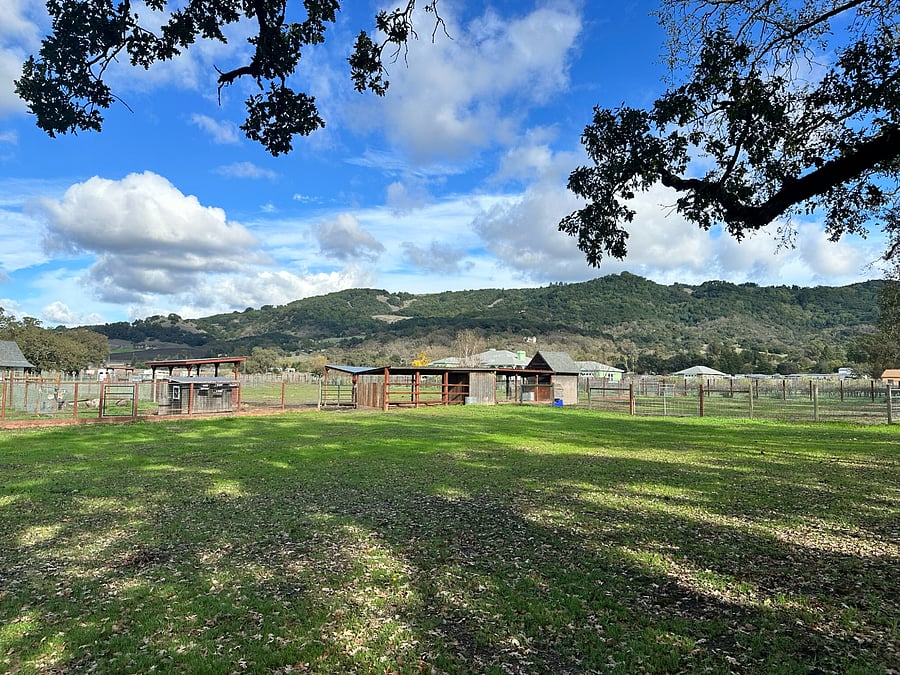 Expansive rural views and open space  a peaceful environment rare this close to town and hospitals.