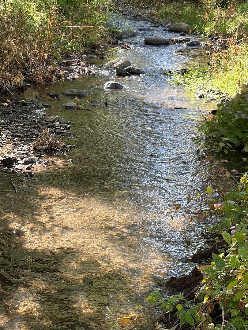 Year-round creek