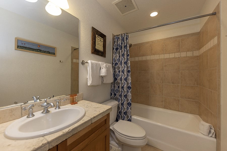 Guest Bathroom 