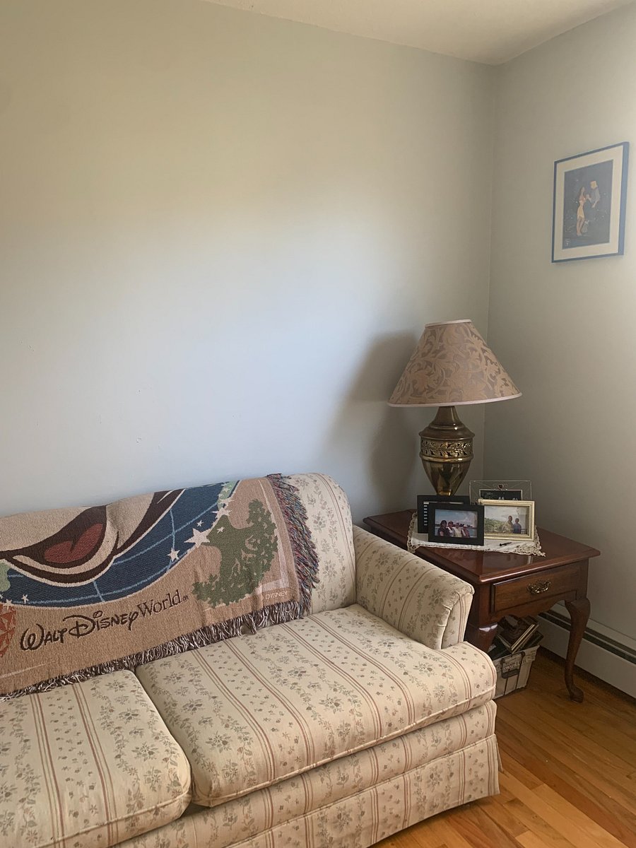 Second bedroom with Pull out Sofa