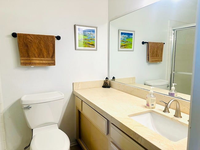Bathroom in Master Bedroom Suite