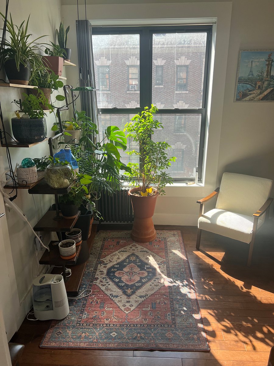 Plant room with reading chair.