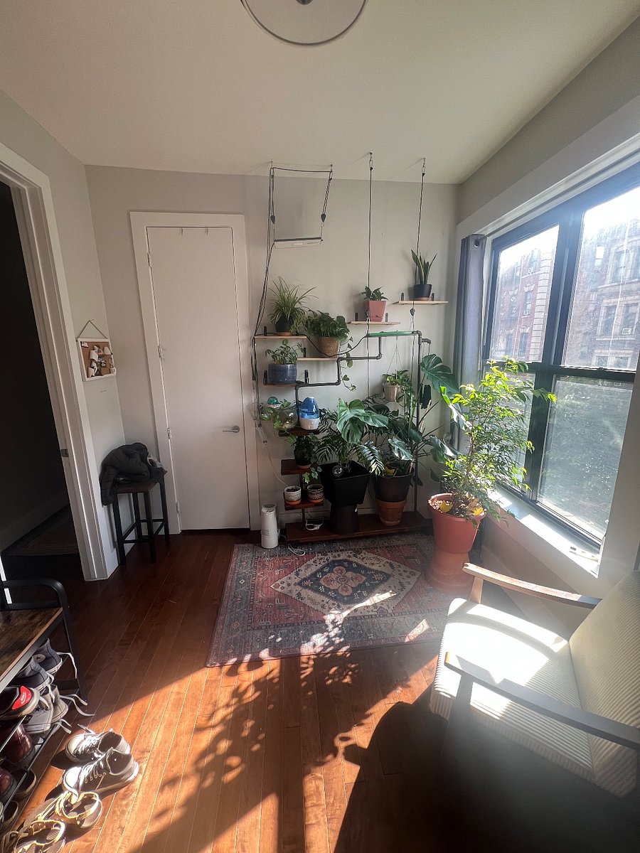 Plant wall with storage space in closet.