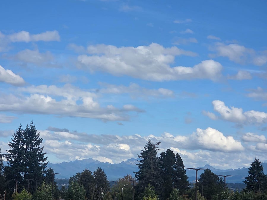 Wonderful Mountain View