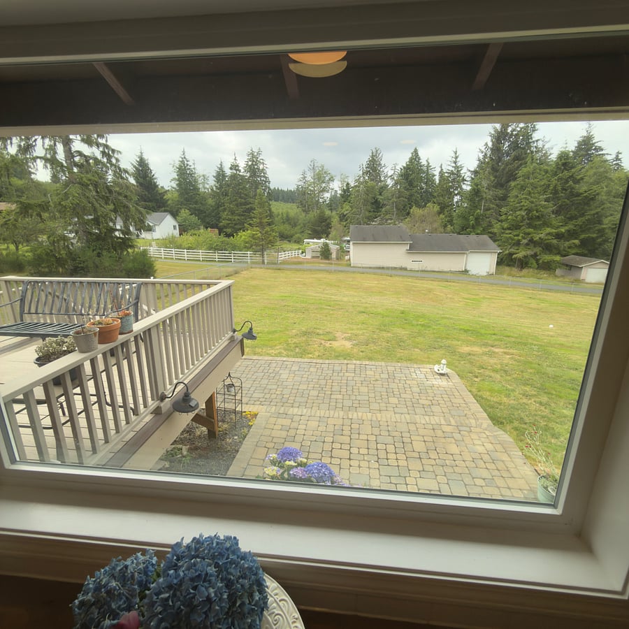 Kitchen window view