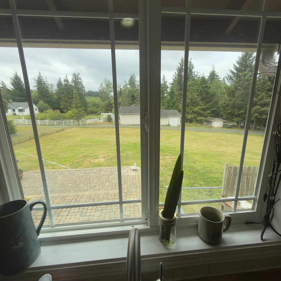 Kitchen sink window view
