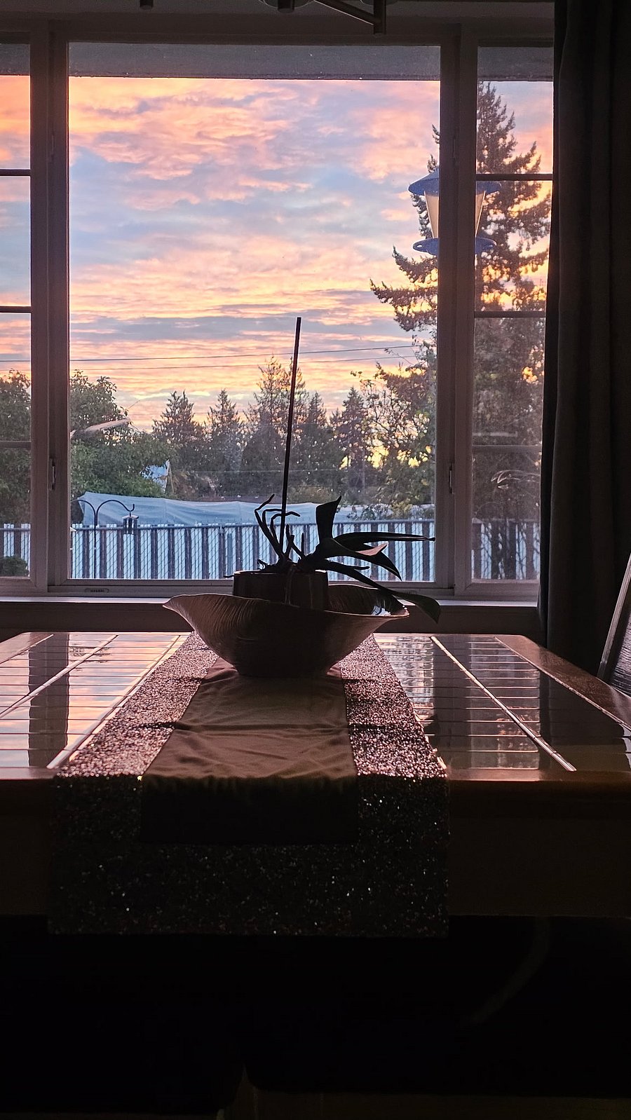 Dining room looks into beautiful, landscaped backyard great for early morning sunrises as it shines through the window.