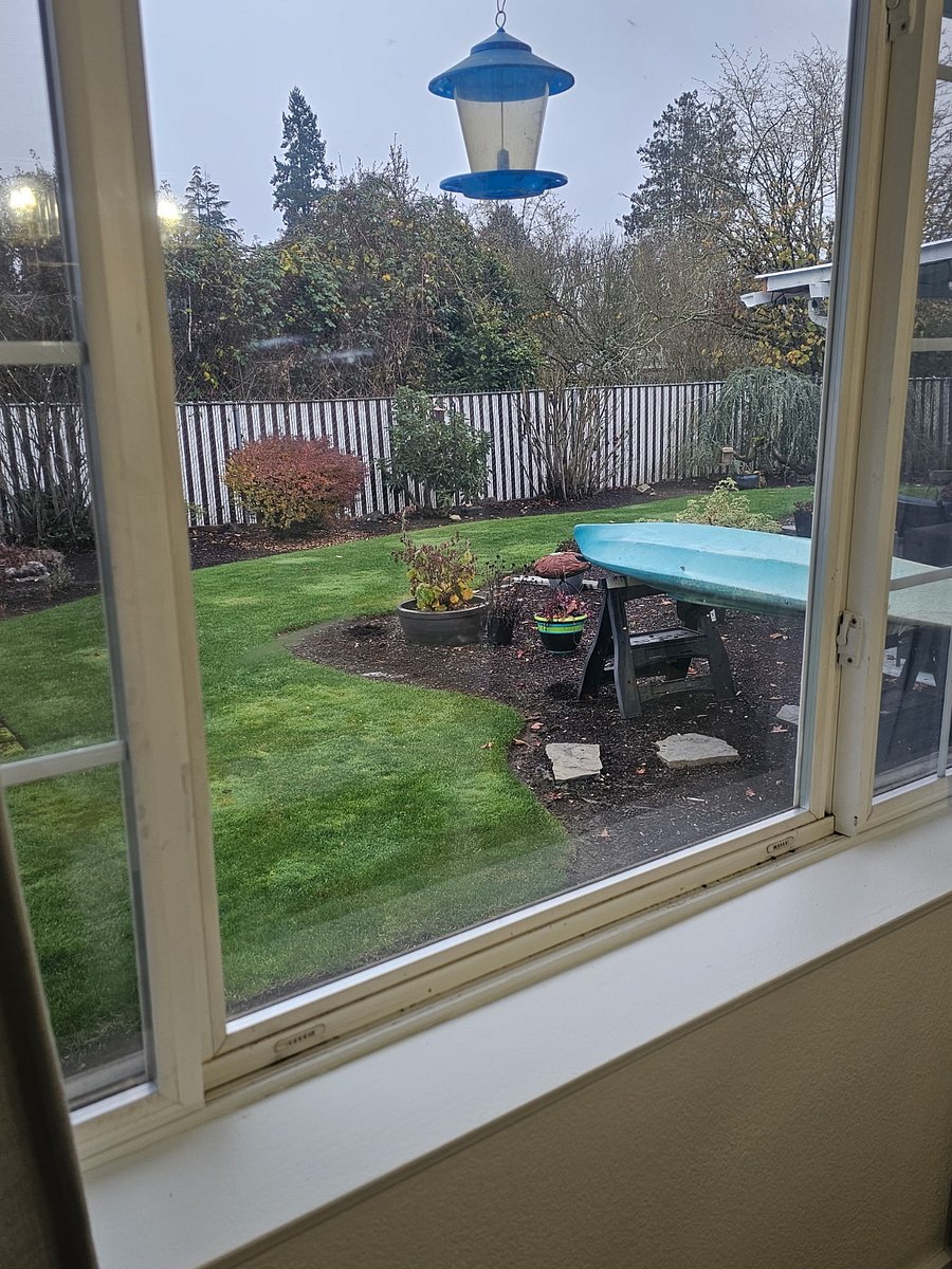 Dining room looking into backyard 