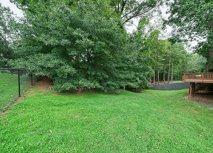 Fenced Backyard