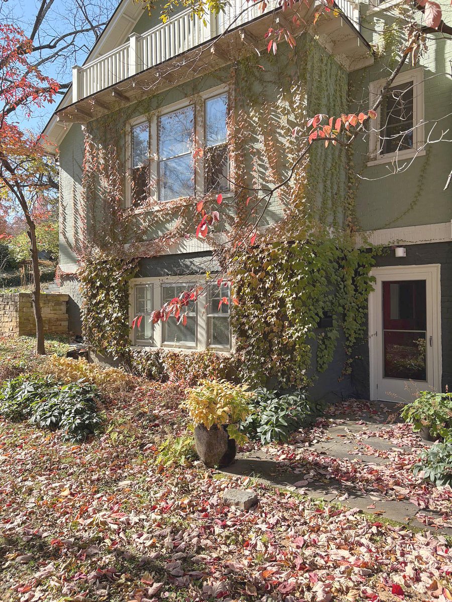 Apartment entrance and living room windows, in the fall.