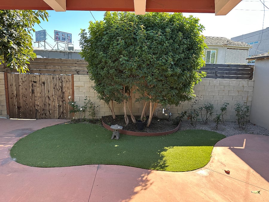 Backyard