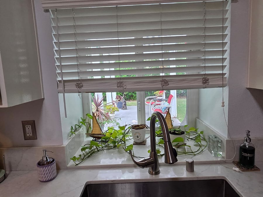 Kitchen window view of backyard