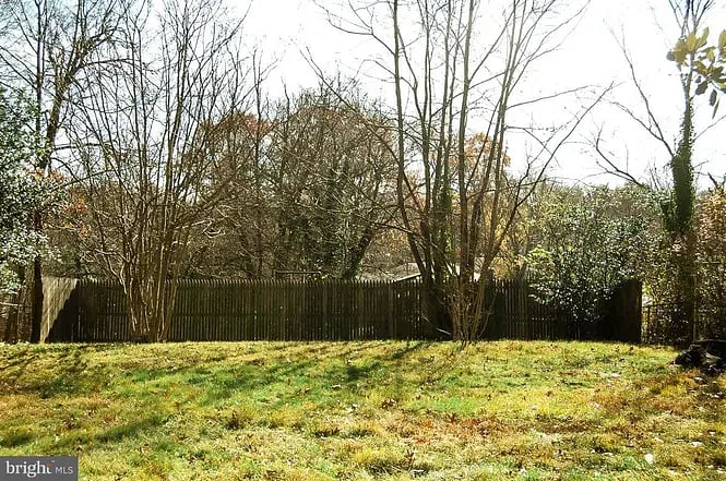 Fenced in backyard (shared)