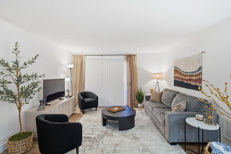 Living room seating and TV