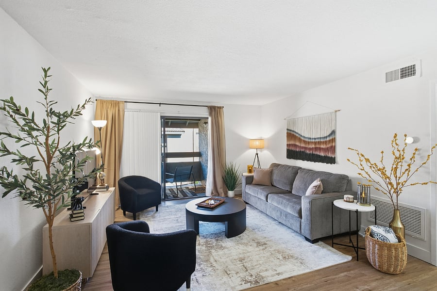 Living room seating and TV