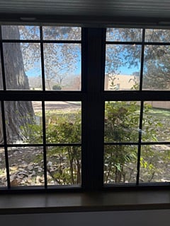 View from dining room table. Looking out to parking area.