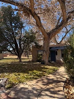 Front door, including bench and small yard for your use. Numerous fruit trees nearby.