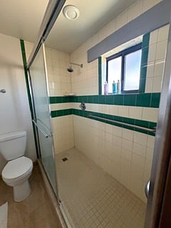 Accessible shower and bathroom.