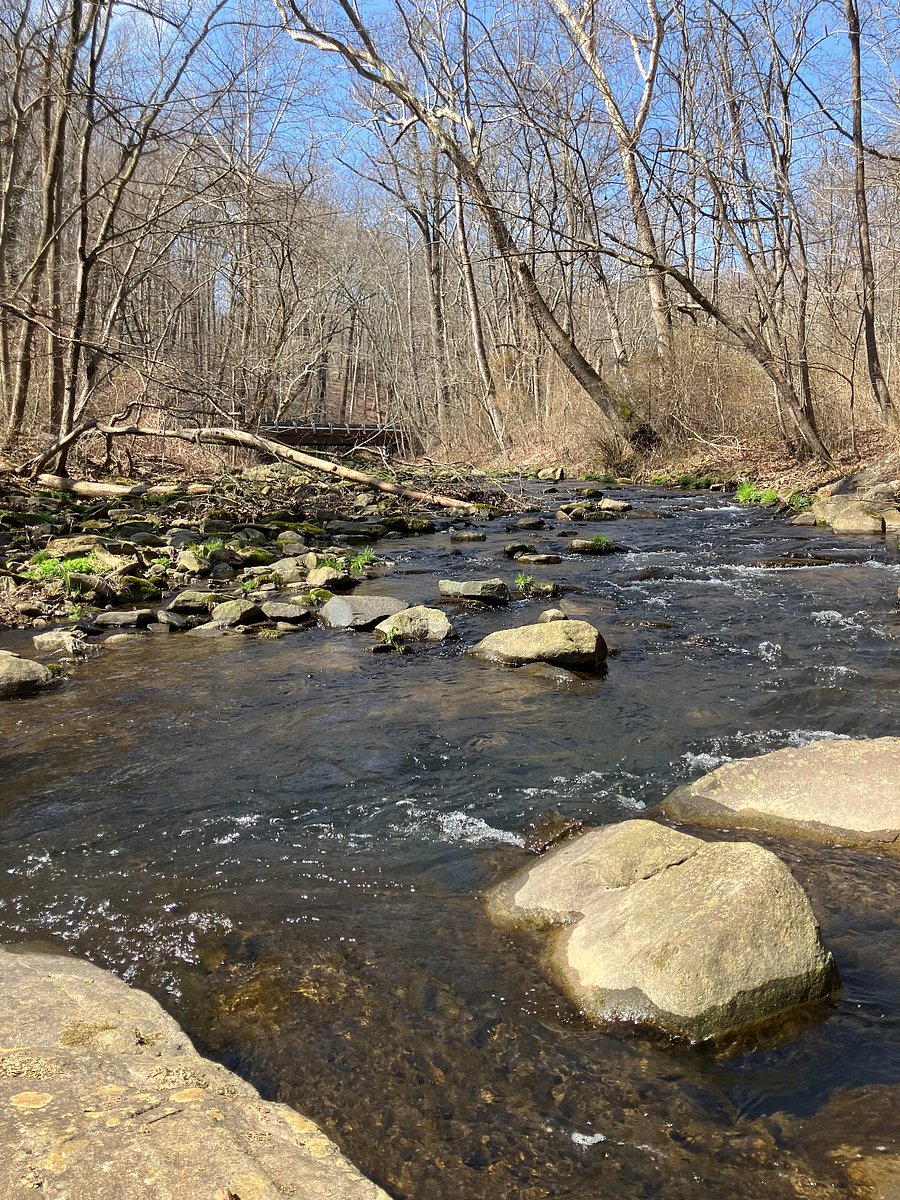 Take A Short Walk To Long Green Creek