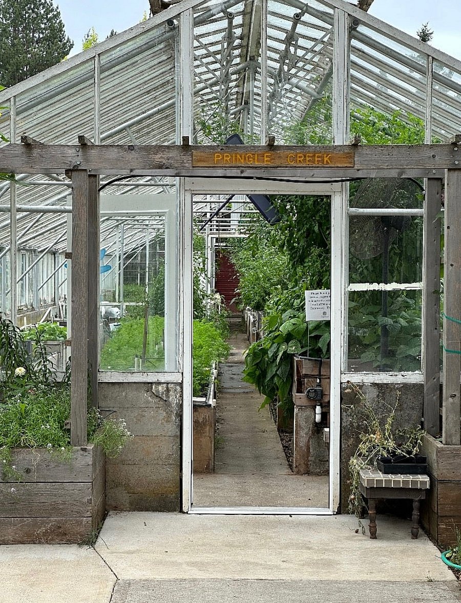 Fresh fruit & vegetables from community greenhouses