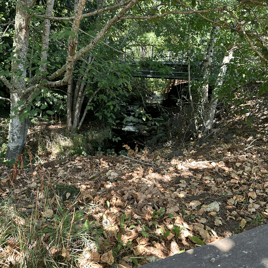 Pringle Creek tranquilly runs alongside our community paths