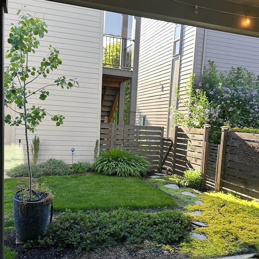Fully fenced back yard w/covered patio ~