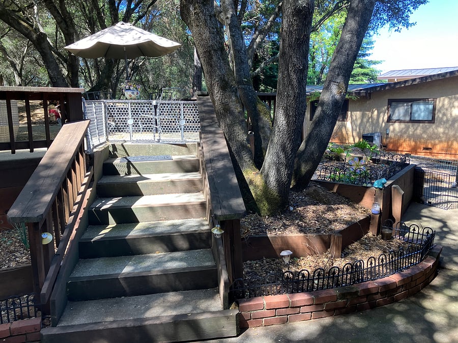 Upper patio area with umbrella table; side yard-dog potty zone area is on lower right.
