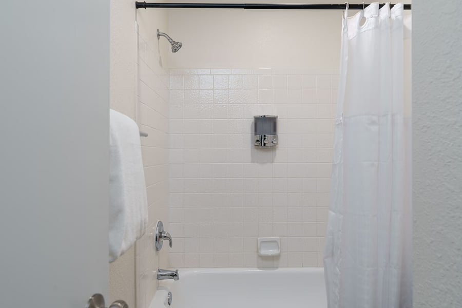 Master Bathroom Full Tub and Shower