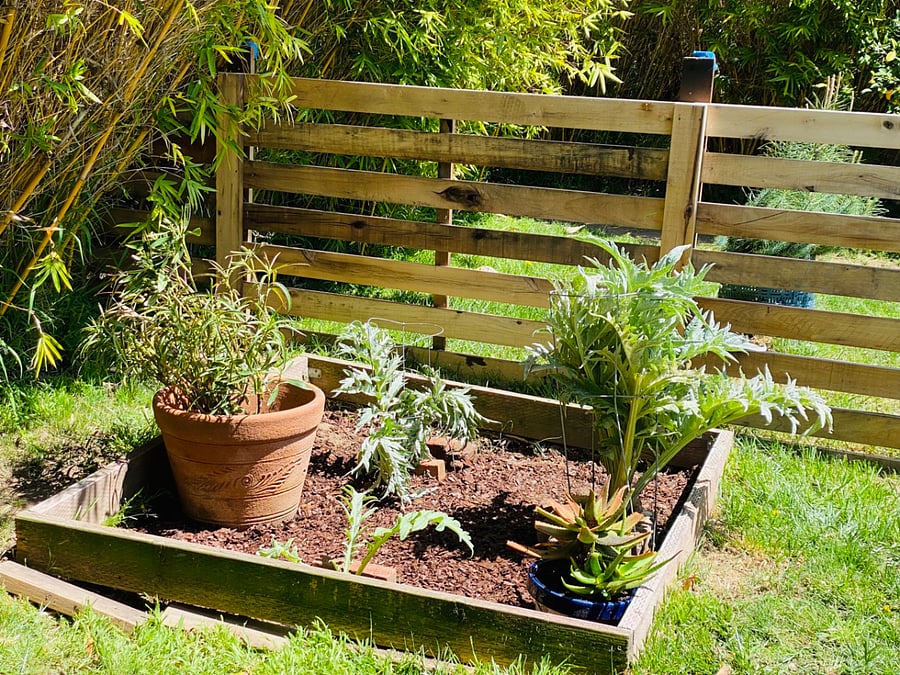 3 gardens with herbs, etc
