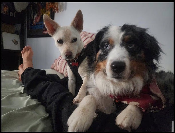 MaeMae and Tommie :)