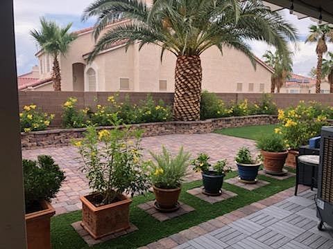 Back yard