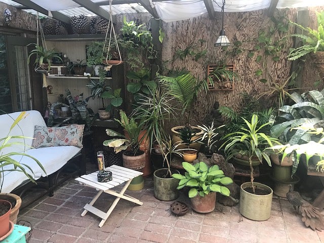 greenhouse