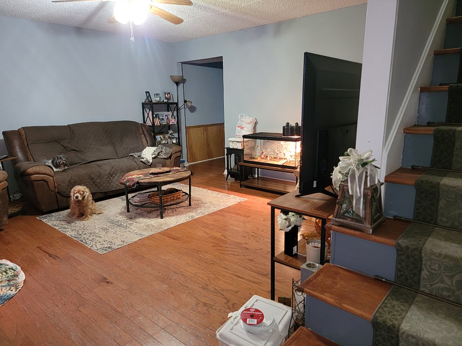 Shared Living Room