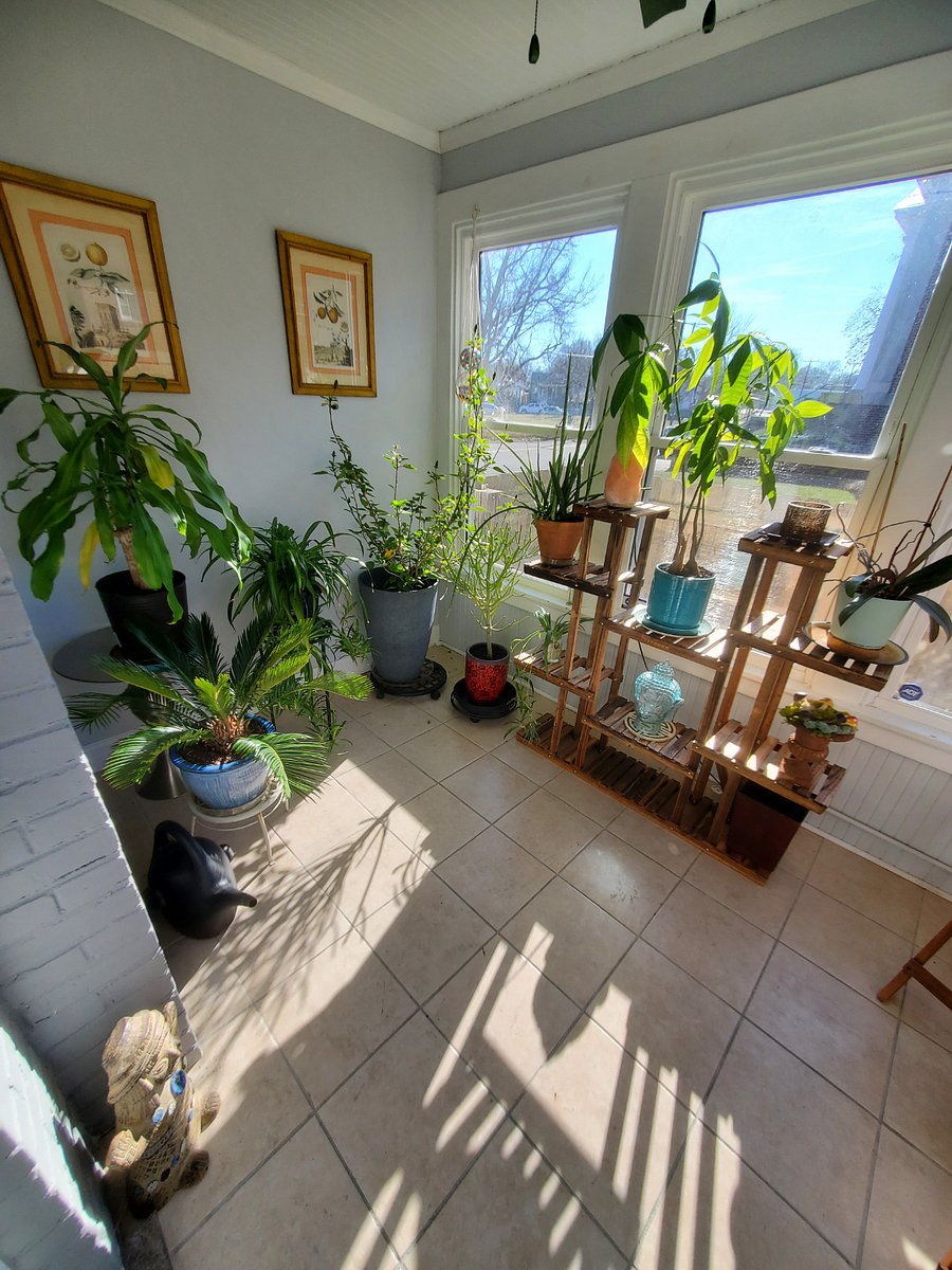 Furnished Finder property 938739_2 photo 15