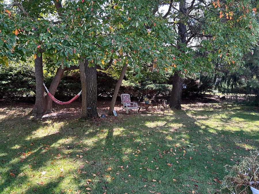 Furnished Finder property 938846_1 photo 8
