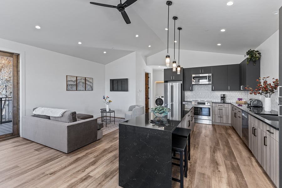 Full Kitchen- Living Room View