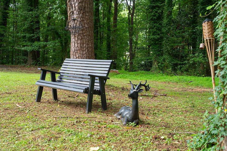 Sitting Area in Back Yard