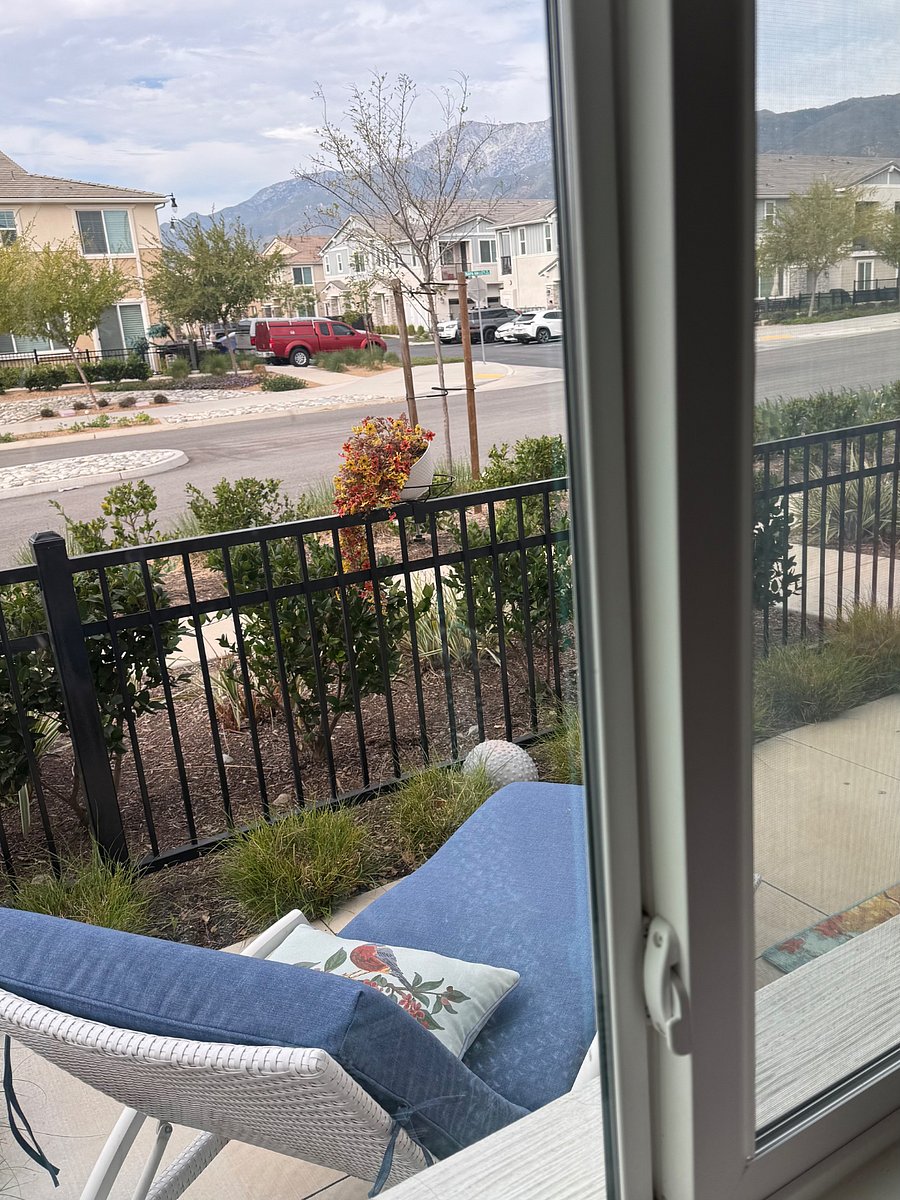 View onto patio from studio