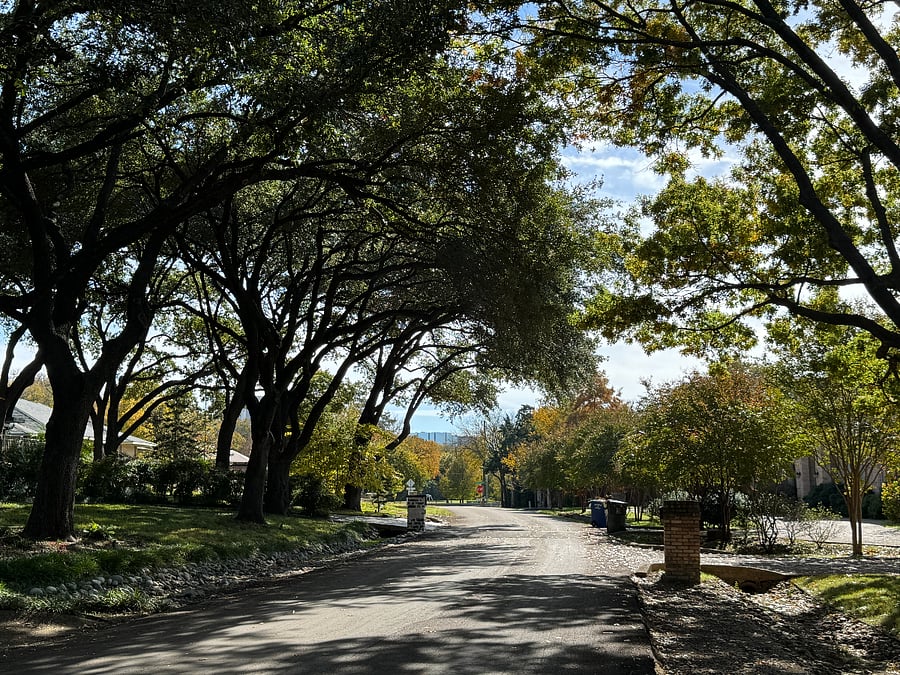 Neighborhood
