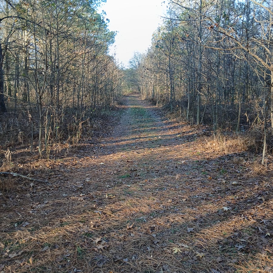 Part of 2 miles of trails.