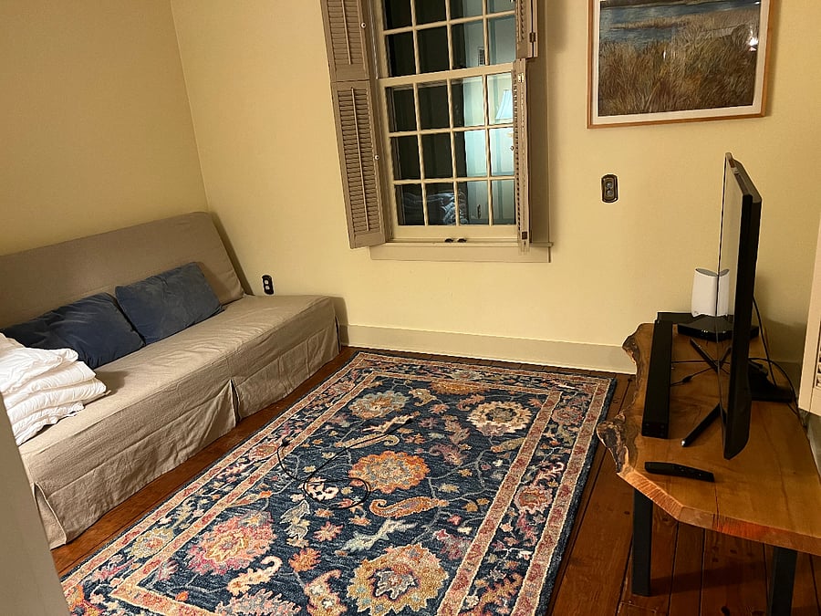 Den with fold out bed