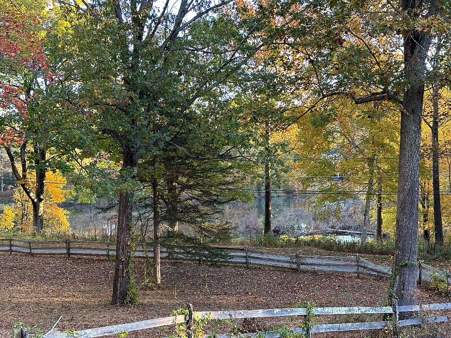View of river from the front of the house.