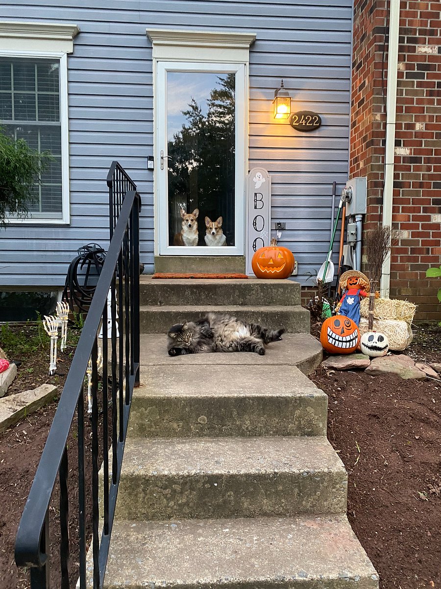 halloween fun, our neighborhood has the best trick or treating in all of frederick. Perfect halloween town movie scene.