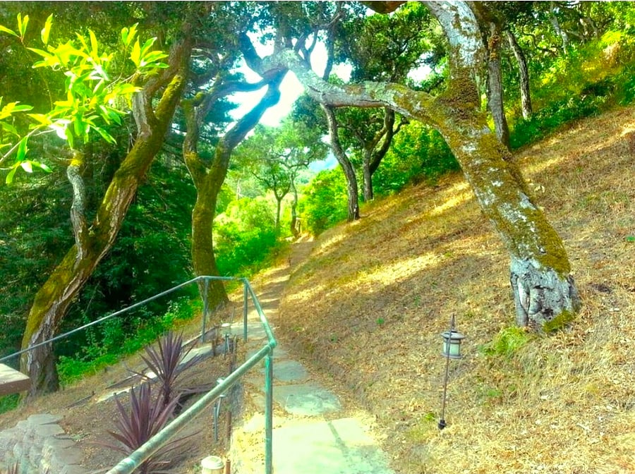 Hike off your back of property.